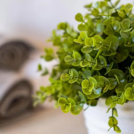 Myflat Nuvola Appartement *