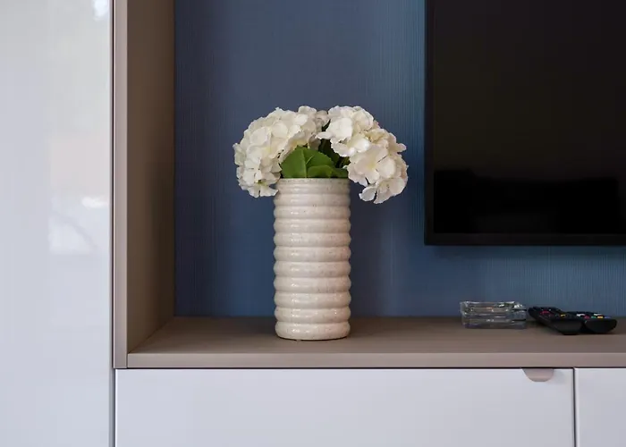 Myflat Nuvola Σίοφοκ