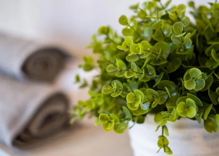 Myflat Nuvola Διαμέρισμα *